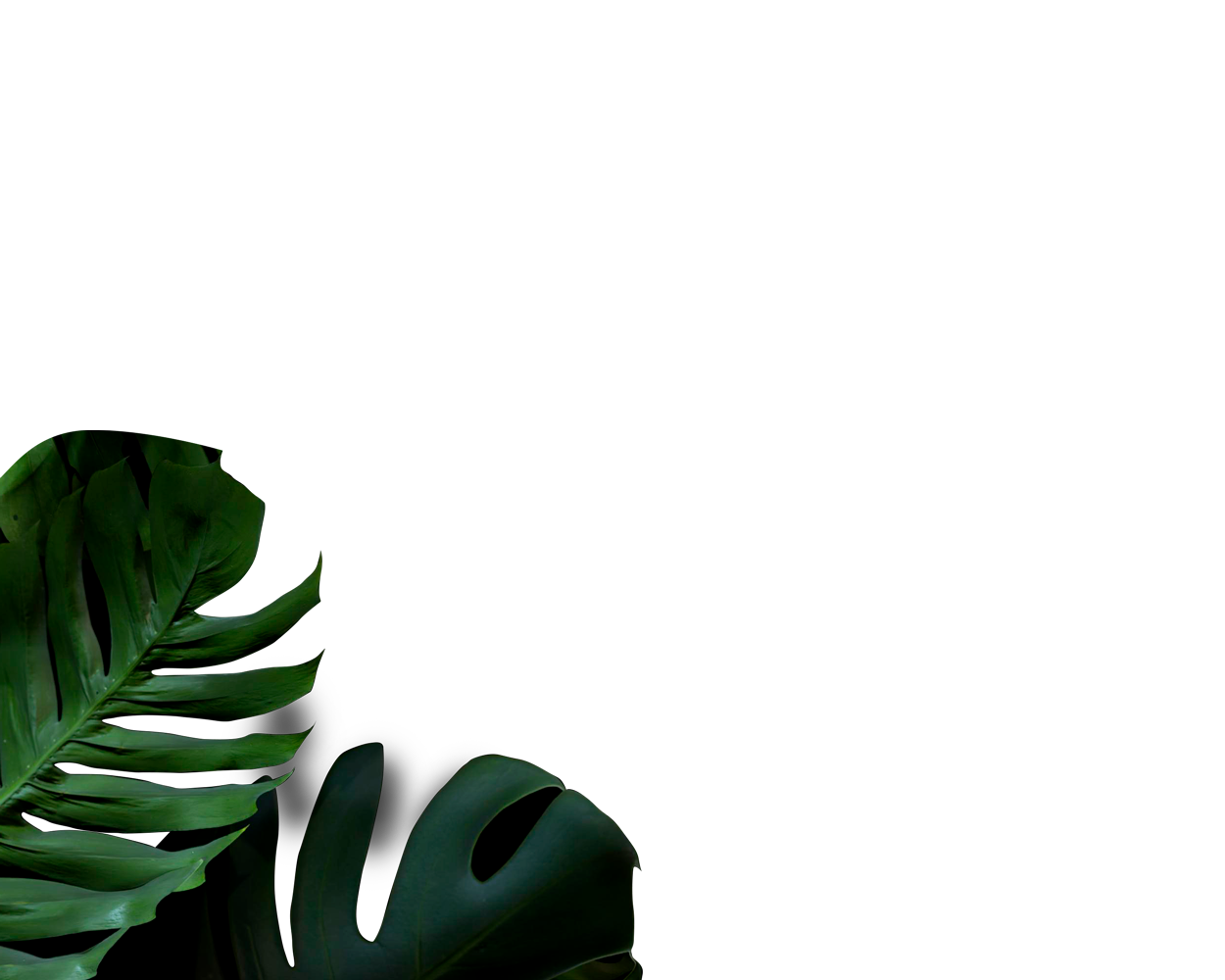 3d-green-palm-leaves-arrangement_Revised-leaves